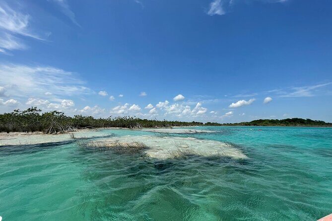Rapids EN Bacalar Tour from Cancun and Riviera Maya - Who Will Love This Tour?