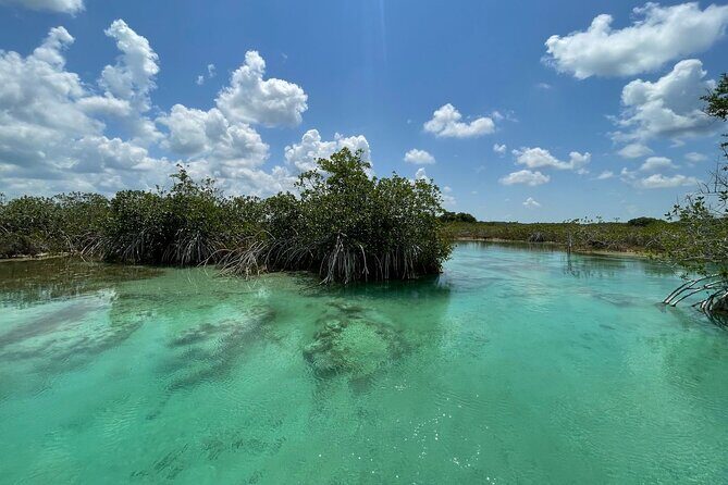Rapids EN Bacalar Tour from Cancun and Riviera Maya - Final Thoughts