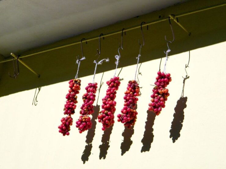 Rapolla Private Tour: Aglianico Wine Tour Near Matera - Tour Duration and Booking Information