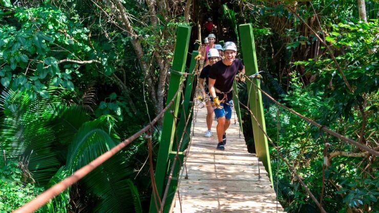 Rappel, Canopy, Hanging Bridges & More -Puerto Vallarta - Zip Line Thrills
