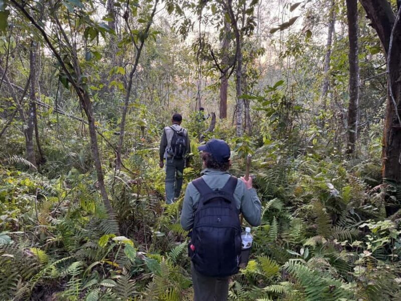 Rara: Adventure Jeep Tour to Rara Lake with Meals and Guide - Final Thoughts