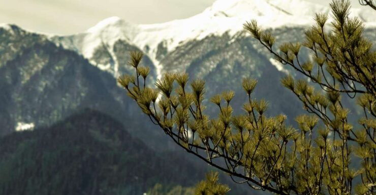 Rara Lake Trek - Experience
