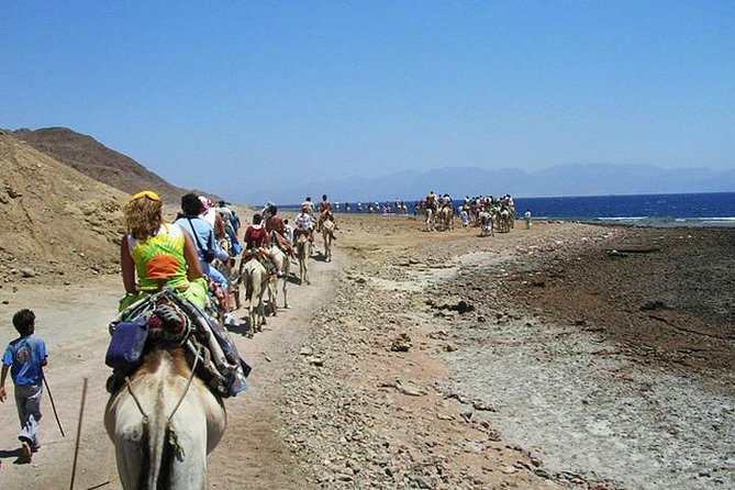 Ras Abu Galum & Blue Hole Snorkeling Tour From Taba - Tour Details