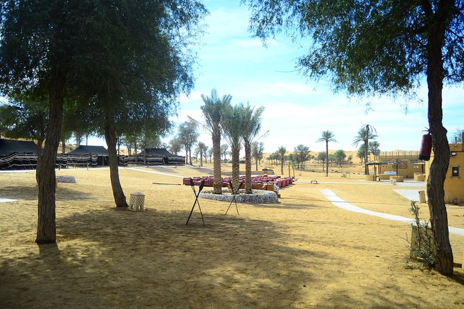 Ras Al Khaimah: Afternoon Desert Safari and BBQ Dinner - Tour Highlights