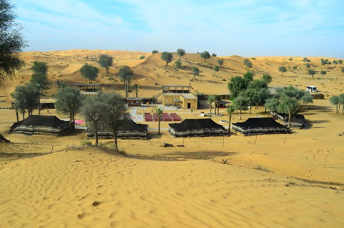 Ras Al Khaimah: Afternoon Desert Safari and BBQ Dinner - Camel Farm Visit