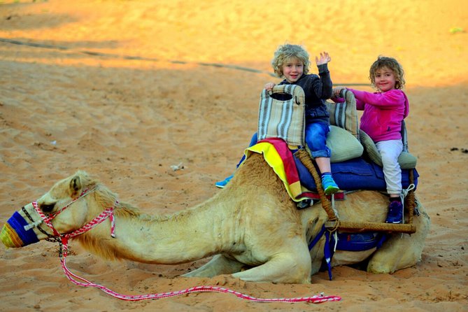 Ras Al-Khaimah Dinner in the Desert Experience With Transfers  - Ras Al Khaimah - Savoring a Delicious Buffet Dinner