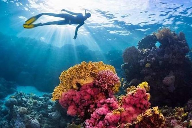 Ras Mohamed Boat Trip in Sharm El Sheikh - Booking Process