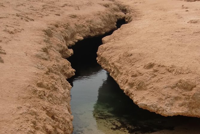 Ras Mohamed by Bus From Sharm Elsheikh - Duration and Admission Details