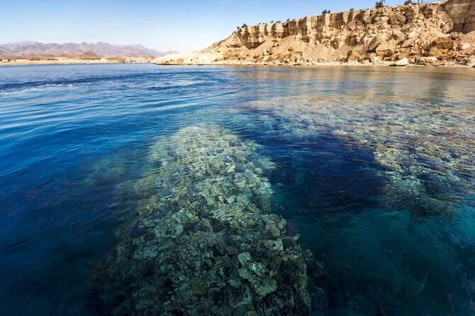 Ras Mohamed Nature Reserve Snorkeling Tour W/ White Island by Yacht - Good To Know