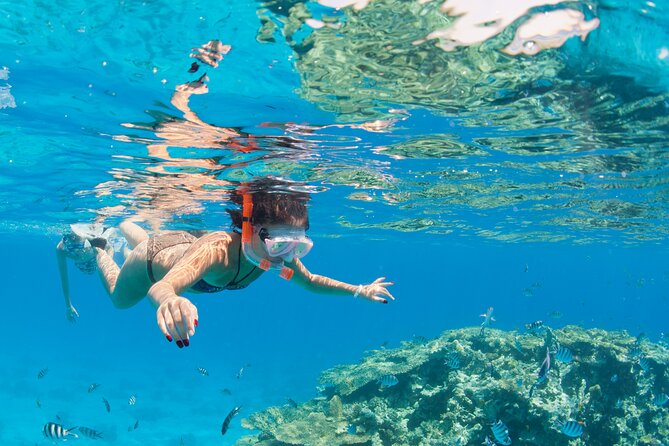 Ras Mohamed & White Island Sea Trip With Lunch - Sharm El Sheikh - Pricing Information