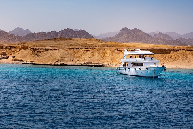 Ras Mohamed& White Island Snorkeling&1 Stop Diving Sharm ElShiekh - Good To Know