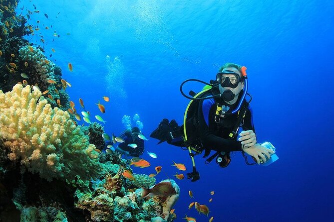 Ras Mohamed& White Island Snorkeling&1 Stop Diving Sharm ElShiekh - Meeting Points and Start Time