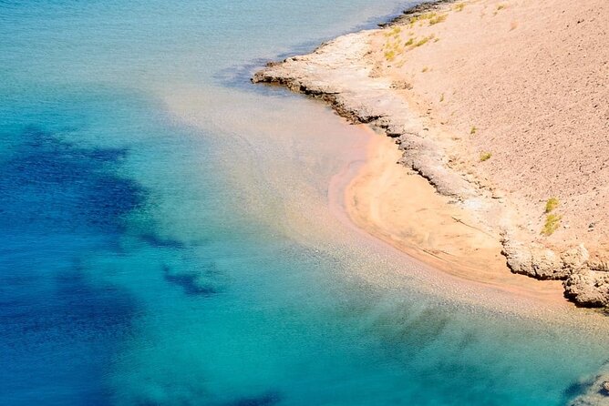 Ras Mohamed& White Island Snorkeling&1 Stop Diving Sharm ElShiekh - Additional Info and National Park Fees
