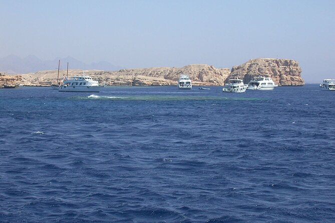 Ras Mohamed& White Island Snorkeling&1 Stop Diving Sharm ElShiekh - Tips for a Great Experience