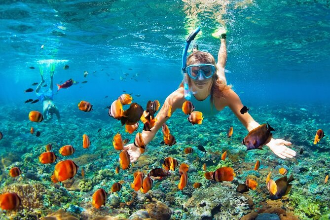 Ras Mohammed National Park by Bus + Snorkeling - Pickup Information