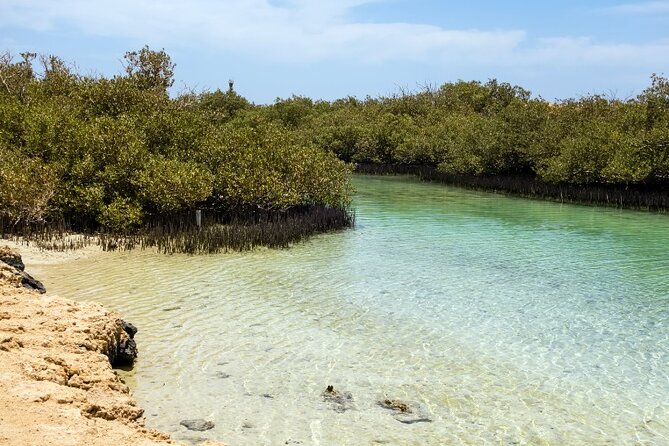 Ras Mohammed National Park by Bus + Snorkeling - Customer Reviews