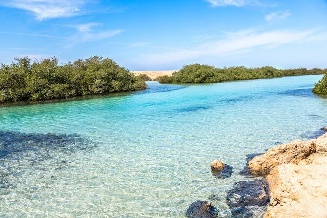 Ras Mohammed National Park Half Day Tour by Bus - Sharm El Sheikh - Reviews