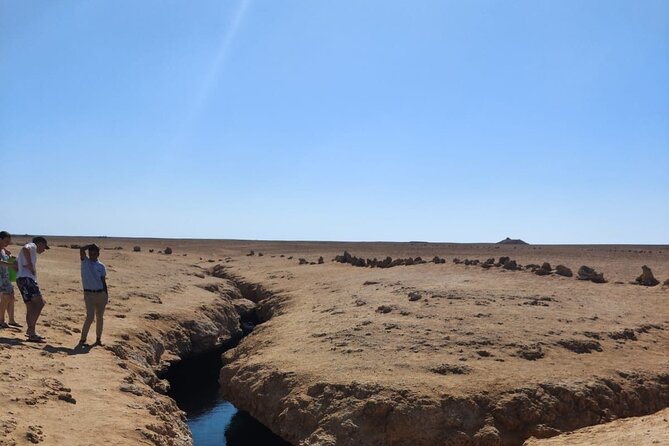 Ras Mohammed National Park Half Day Tour by Bus - Sharm El Sheikh - Questions and Information