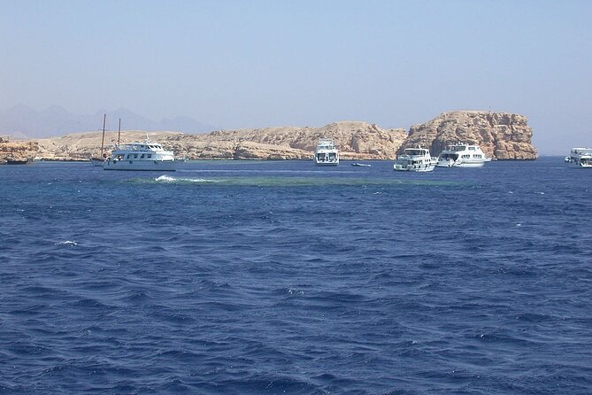 Ras Mohammed & White Island By Boat Snorkeling in Sharm El Sheikh - Additional Tour Information