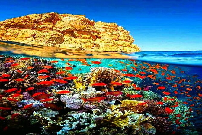 Ras Mohammed & White Island By Boat Snorkeling in Sharm El Sheikh - Booking and Cancellation Policies