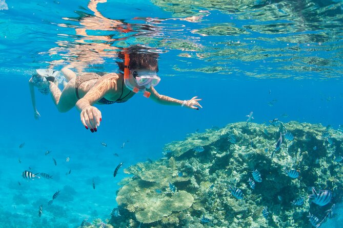 Ras Mohammed & White Island Snorkeling Trip in Sharm El Sheikh - Snorkeling Locations