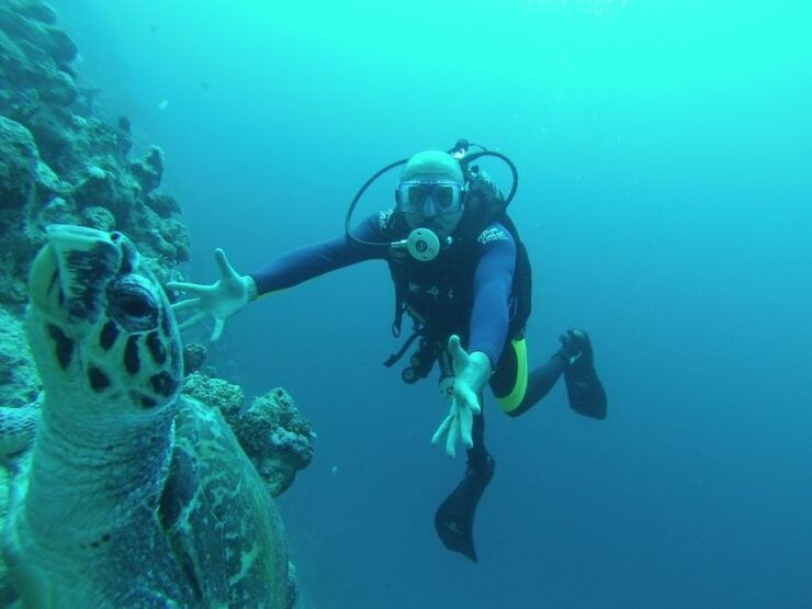 Ras Muhammad National Park: Diving Boat Trip From Sharm - Activity Highlights at Ras Muhammad