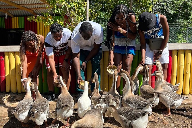 Rastafari Cultural Experience & Animal Farm Tour In Montego Bay - Tour Highlights