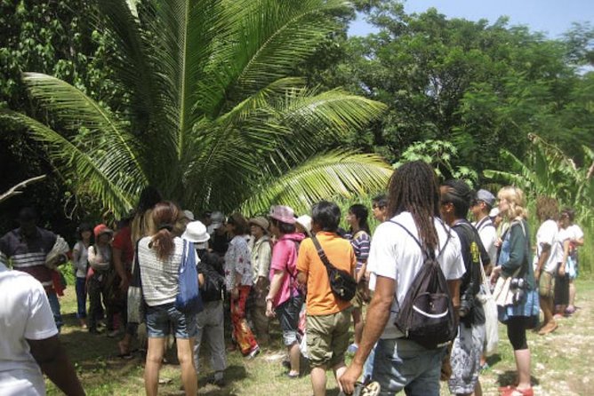 Rastafari Indigenous Village Tour - Common Questions