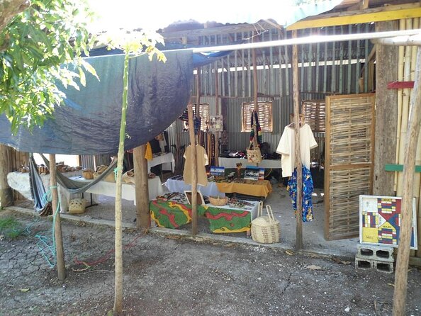 Rastafari Indigenous Village Tour Transportation [Entry Not Included] - Tour Details