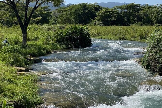 Rastasafari Experience ATV Adventure and Local Day Out - What to Expect from the Rastasafari Experience  