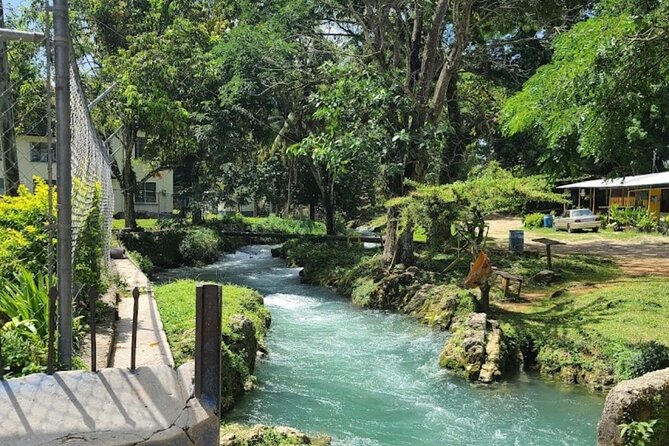 Rastasafari Experience ATV Adventure and Local Day Out - Pricing and Booking