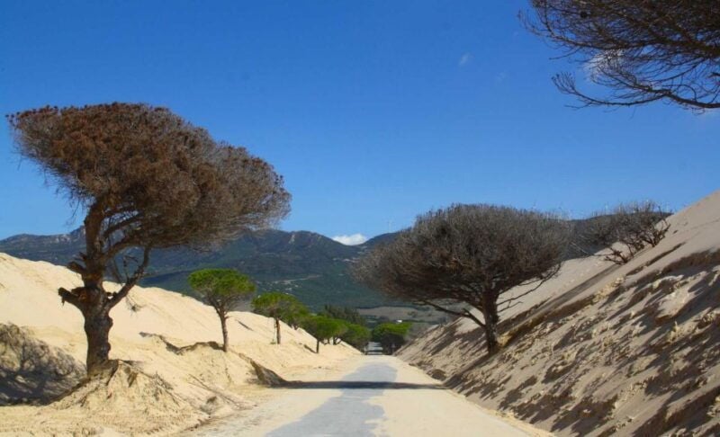 Rate: Ebike Rental Route of the Strait - Good To Know