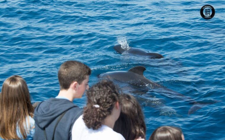 Rate: Whale & Dolphin Watching in the Strait of Gibraltar - Customer Reviews