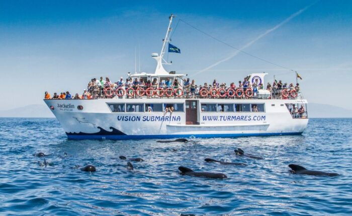 Rate: Whale & Dolphin Watching in the Strait of Gibraltar - Frequently Asked Questions