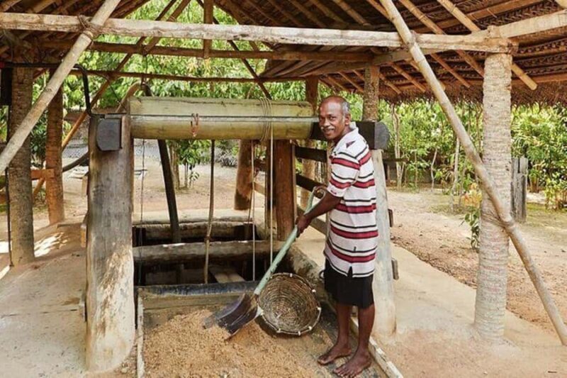 Rathnapura: Gem Market & Mining Tour from Bentota/Colombo - Who Should Consider This Tour?