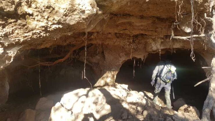 Rava Tagliata: In the Footsteps of Prehistory Guided Hike - Explore San Venanzio Gorges