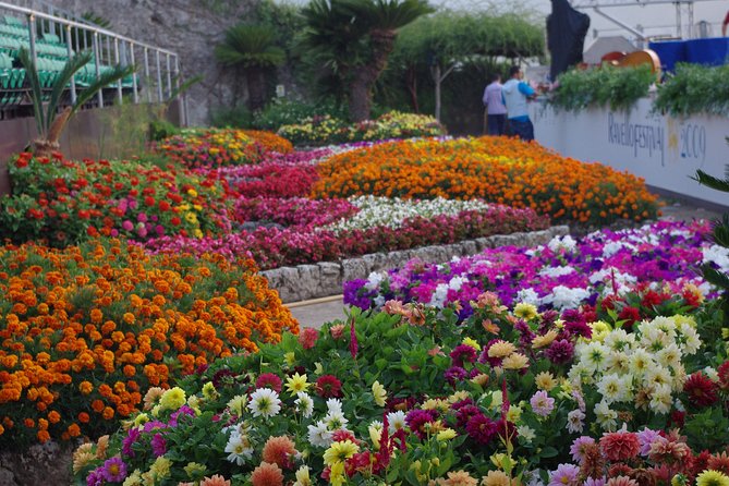 Ravello Private Sightseeing Tour  - Amalfi - Overview and Highlights