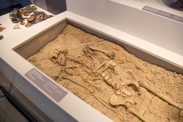 Ravenna:Combo Classis Museum and Basilica of SantApollinare - Historical Insights