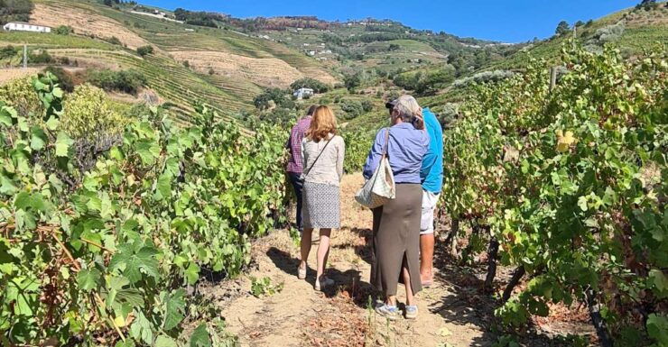 Raw & Authentic Douro - Tour Details