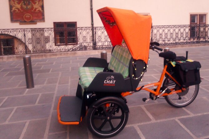 RAXI (E-Rickschaw) Big Private Vienna Tour - Additional Information