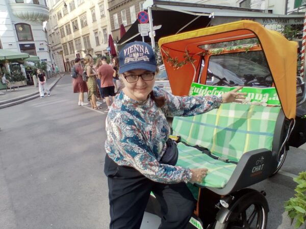 RAXI (Electric Rickshaw) Big 3 Hours Tour Vienna - Important Information and Weather Conditions