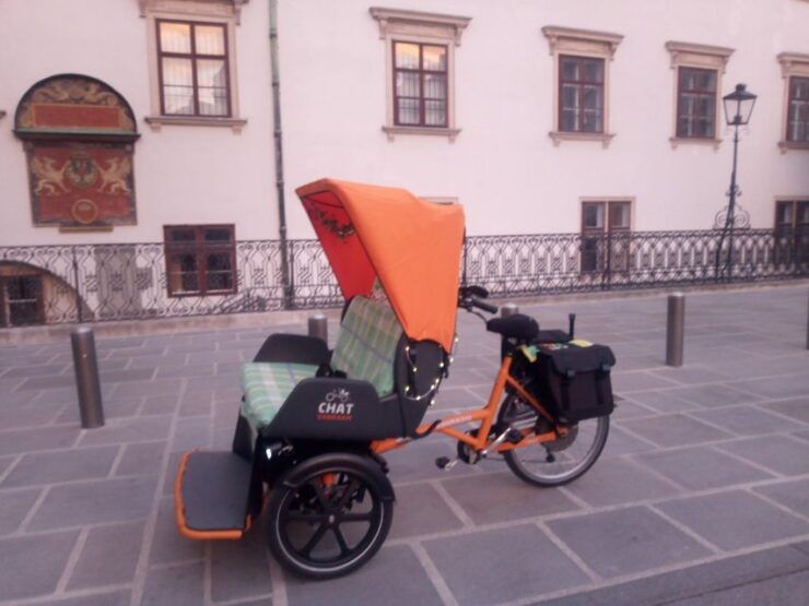RAXI (Electric Rickshaw) Vienna 90 Minutes Tour - Activity Details