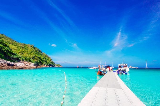 Raya & Coral Island - Questions and Support