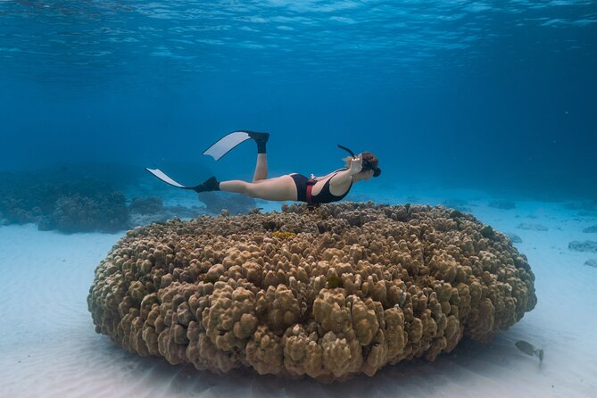 Raya Island / Mai Ton Island Private Boat Tour - Tour Highlights