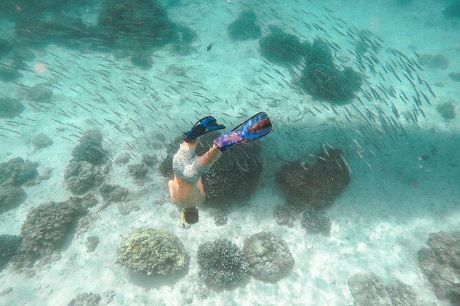 Raya Island / Mai Ton Island Private Boat Tour - Customer Reviews and Testimonials