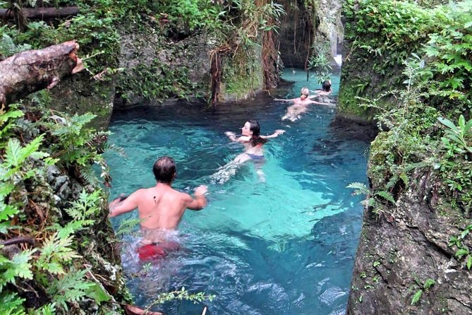 Reach Falls Adventure Tour From Port Antonio - Overview