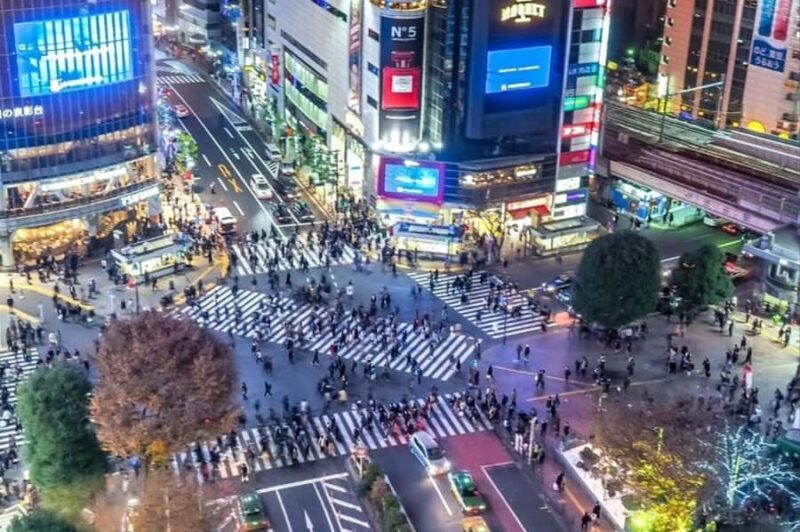 Real Anime Culture Tour in Shibuya: Food, Shopping & Game - Practical Details That Matter