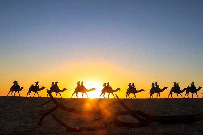Real Baja ATV Tour in Los Cabos - Cabo San Lucas - Overview and Inclusions