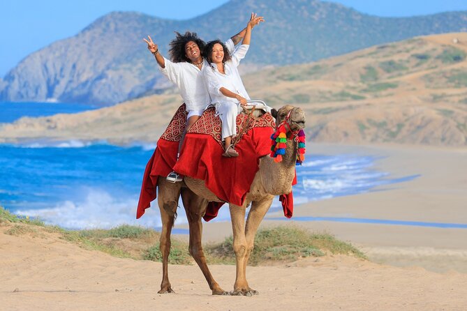 Real Baja ATV Tour in Los Cabos - Cabo San Lucas - Common Questions