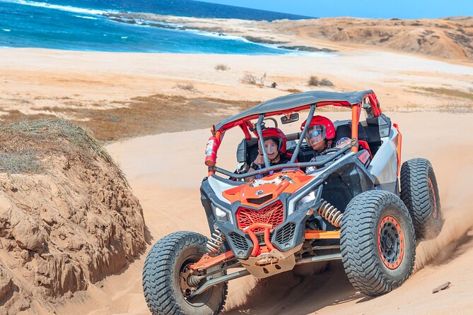 Real Baja Tour Aboard an Off-Road RZR in Los Cabos - Cabo San Lucas - Traveler Photos
